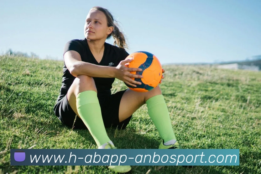 安博体育平台生态图